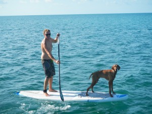pets, dogs sailing, cruising pets, dogs on paddleboard, paddling with pets, cruising with dogs, Bahamas, dogs, dog paddleboarding, family fun, island sailing, island cruising, 